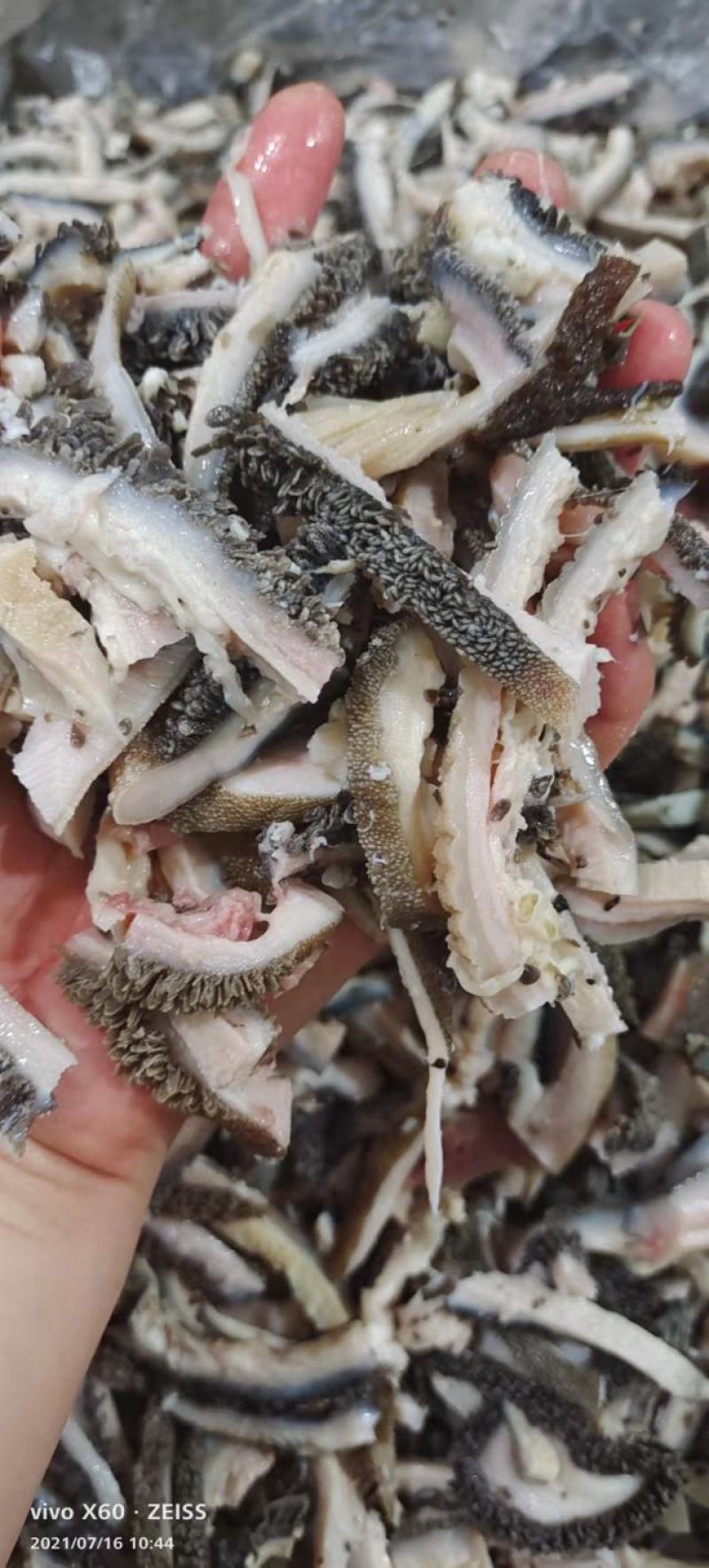 熟牛黑毛肚，干净无油，熟度适中，独特香气扑鼻。