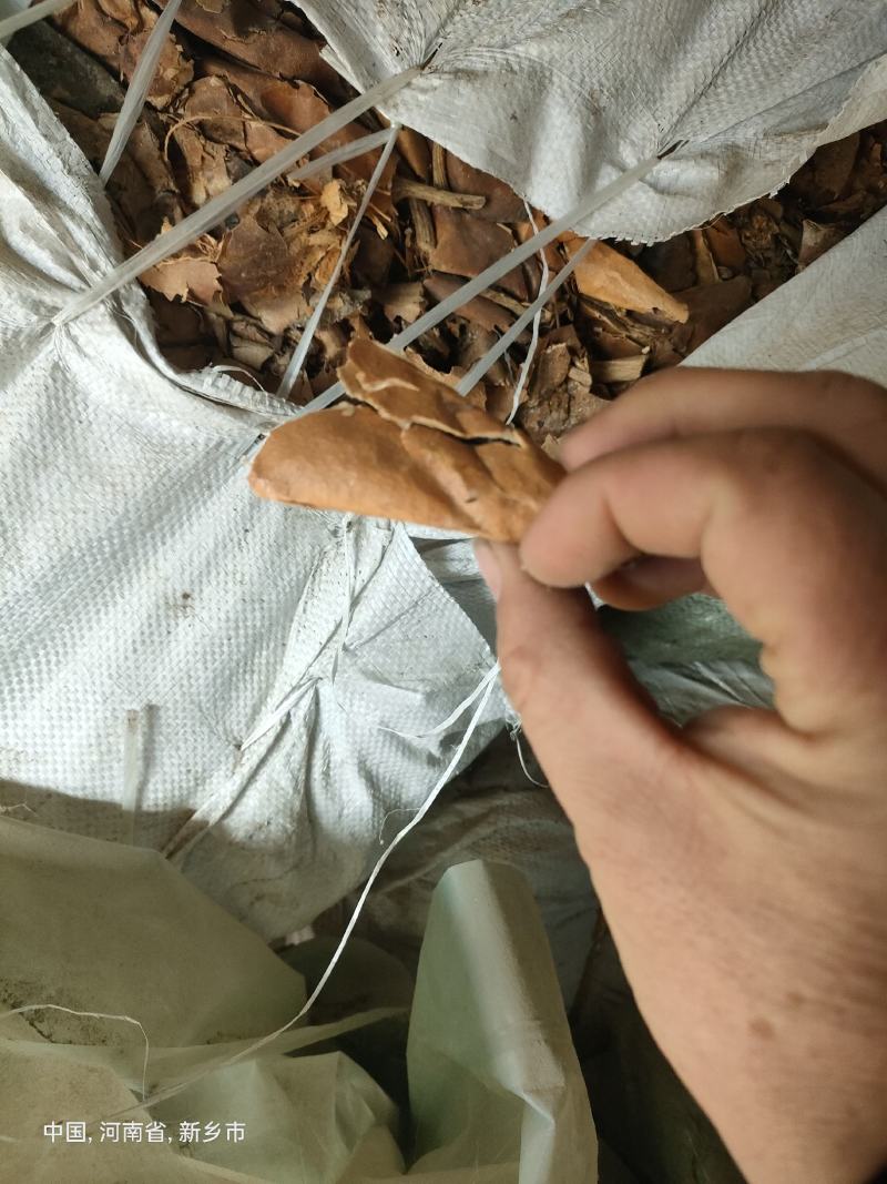 瓜蒌皮