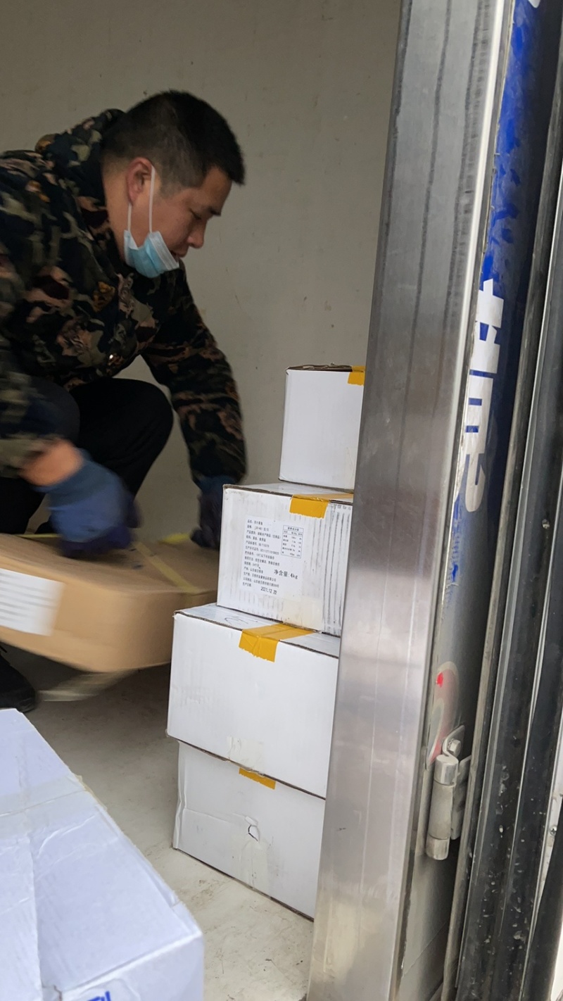 冷冻活冻白花螺质量保证