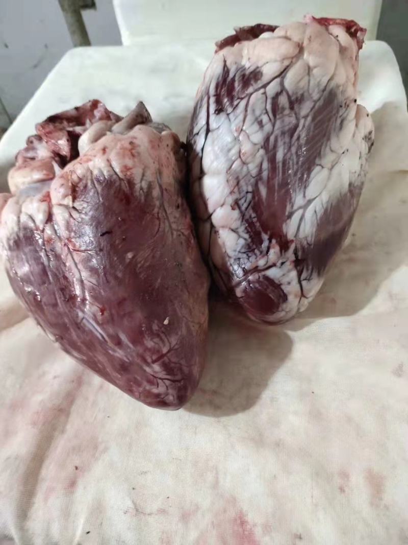 牛心，新鲜，速冻，都可以发货，好的产品热销中