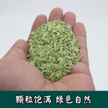 {一斤}甘肃特级小茴香粒种子籽批发家用商用调料