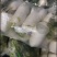 湖北白萝卜，产地大量批发，代发全国，保质保量随行就市