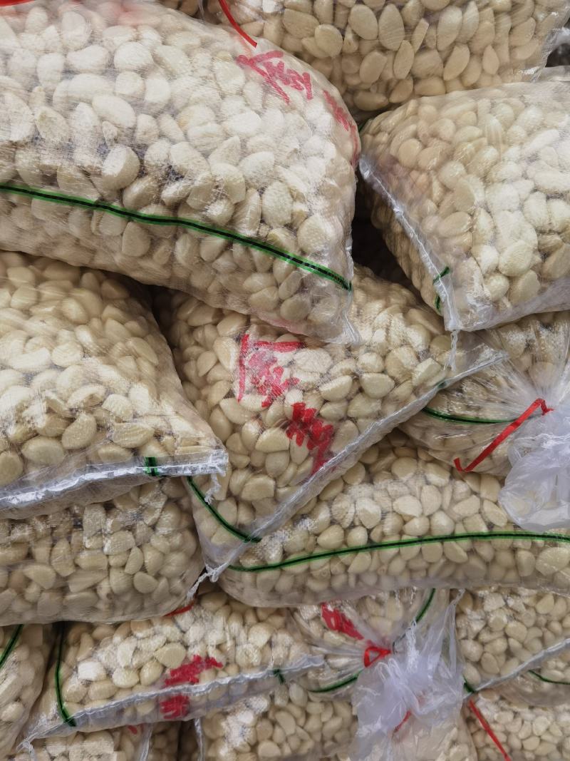 精品机打冷库无芽优质蒜米二次复捡保证源头发货