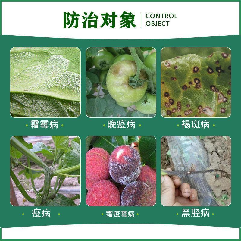 金法利几丁聚糖白菜黄瓜霜霉病蕃茄晚疫病蔬菜农药杀菌剂