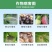 开局荧光假单胞杆菌蔬菜灰霉褐斑病早疫病靶斑病农药杀菌剂