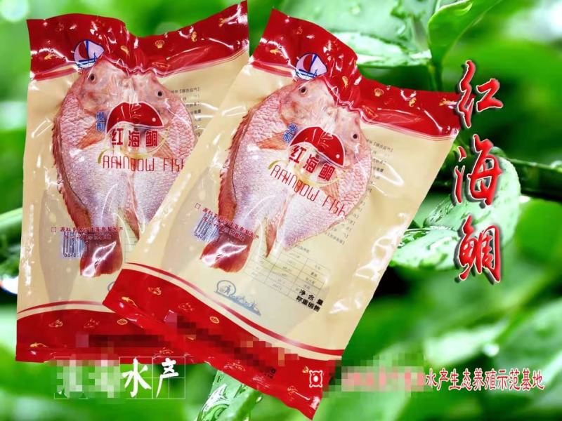 富贵红鱼一手货源工厂直供批发年年富贵红鱼鸿运