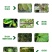 阳光霉素低聚糖素黄瓜细菌性病角斑溃疡果树流胶蔬菜杀菌剂