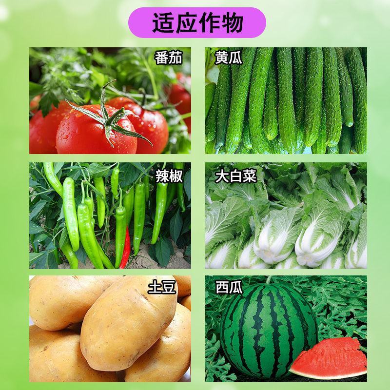 阳光霉素低聚糖素黄瓜细菌性病角斑溃疡果树流胶蔬菜杀菌剂