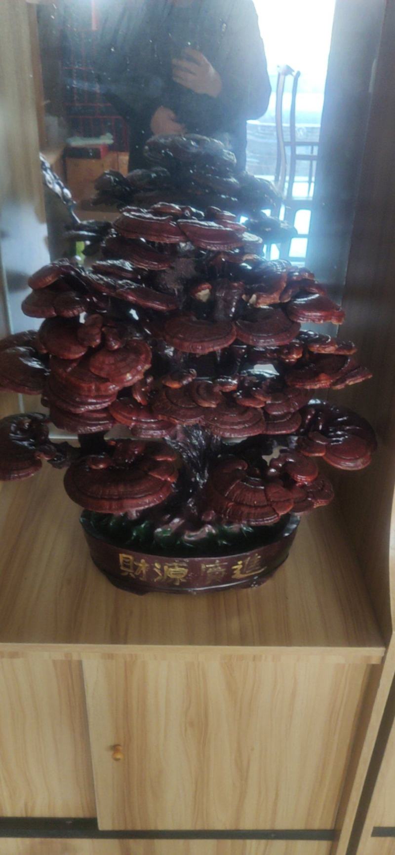 灵芝盆景，祥瑞盆景，居家摆放，商务送礼，开业送礼