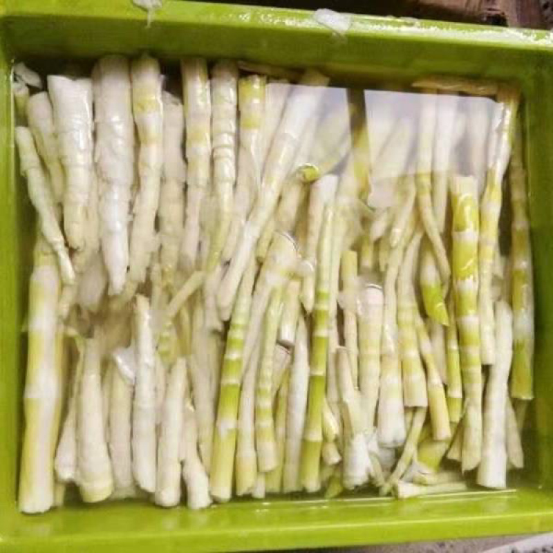 高山天然新鲜苦笋蔬菜春笋客家美食江西产地非人工种植