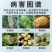 开局荧光假单胞杆菌蔬菜灰霉褐斑病早疫病靶斑病农药杀菌剂