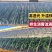 大棚膜高端大棚膜8-15丝长度规格均可定做