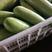 绿皮西葫芦0.6斤以上，绿色油亮，是市场商超优选产品。