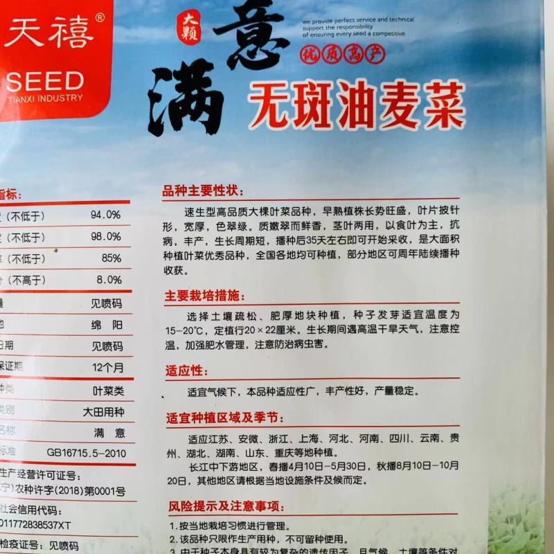 满意无斑油麦菜种子耐热耐湿油麦菜种子大棵油麦菜种籽