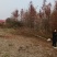 湖南水杉苗自家苗圃基地直发原土发送包成活一手货源