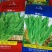 速生型油麦菜种子龙盛尖形叶柳叶油麦菜质嫩翠鲜香基地用种