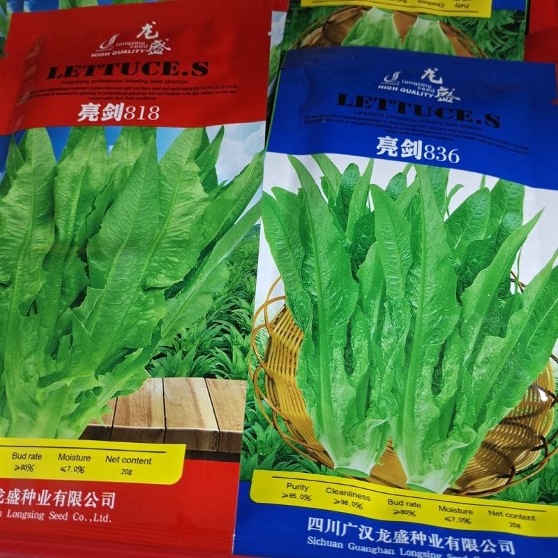 速生型油麦菜种子龙盛尖形叶柳叶油麦菜质嫩翠鲜香基地用种