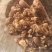 水洗大蝉蜕（碎），非常干净！需要的老板请联系，量大优惠