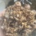 水洗大蝉蜕（碎），非常干净！需要的老板请联系，量大优惠