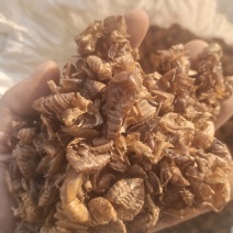 水洗大蝉蜕（碎），非常干净！需要的老板请联系，量大优惠