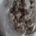农家自制的魔芋粉，美味香新鲜质量好1斤一件包邮。