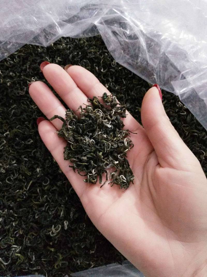 湖南宜章莽山高山云雾绿茶，红茶。野山茶。