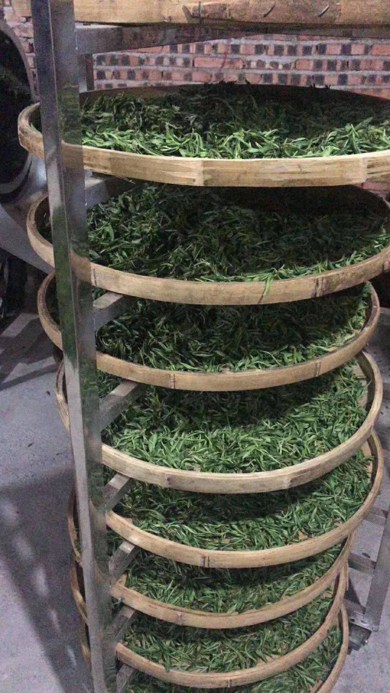 湖南宜章莽山高山云雾绿茶，红茶。野山茶。