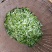 湖南宜章莽山高山云雾绿茶，红茶。野山茶。