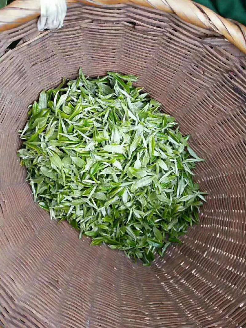 湖南宜章莽山高山云雾绿茶，红茶。野山茶。