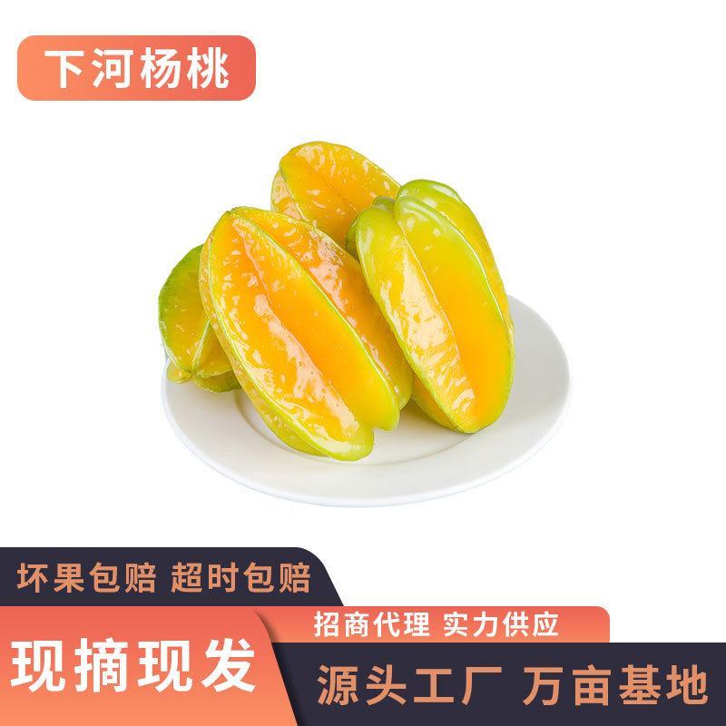 诚接各大平台代理社区团购市场批发，支持无痕一件代发常