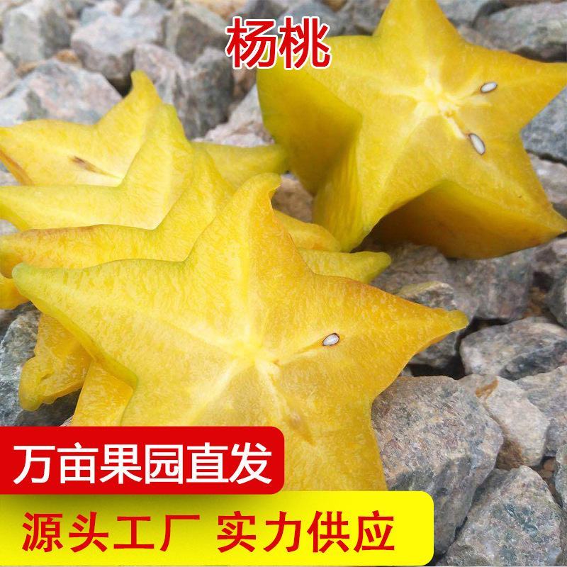 诚接各大平台代理社区团购市场批发，支持无痕一件代发常