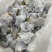 新鲜黑牛肝菌