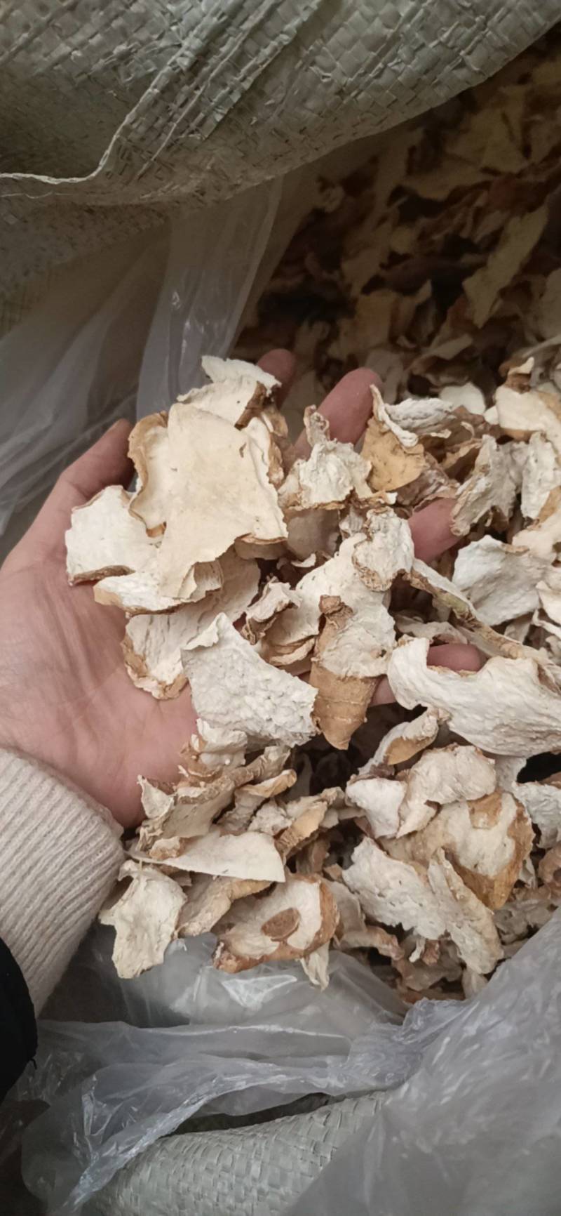 中药材黄精姜型多花倒苗甜黄精无硫生干片干个子，