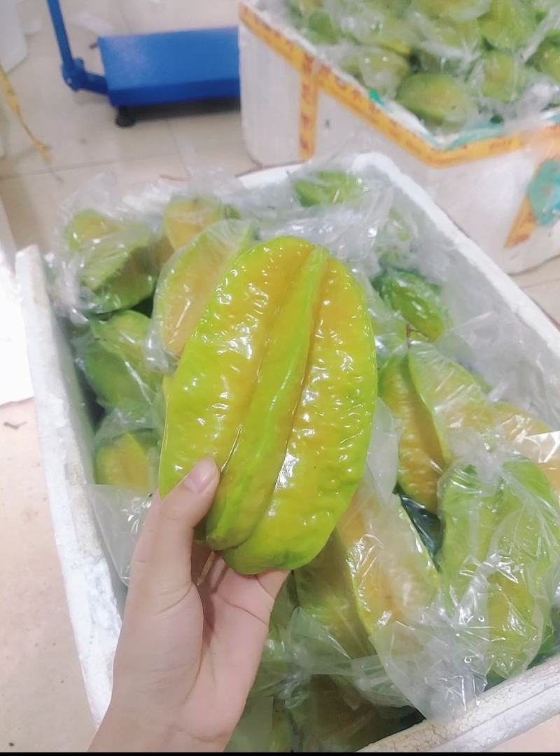 诚接各大平台代理社区团购市场批发，支持无痕一件代发常