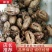 四川非水洗蝉蜕，欢迎各位新老客户咨询，量大从优！