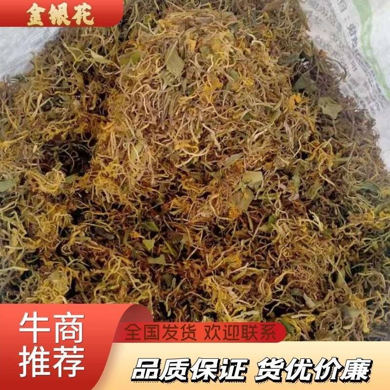 金银花四川野生金银花2022新产野生金银花