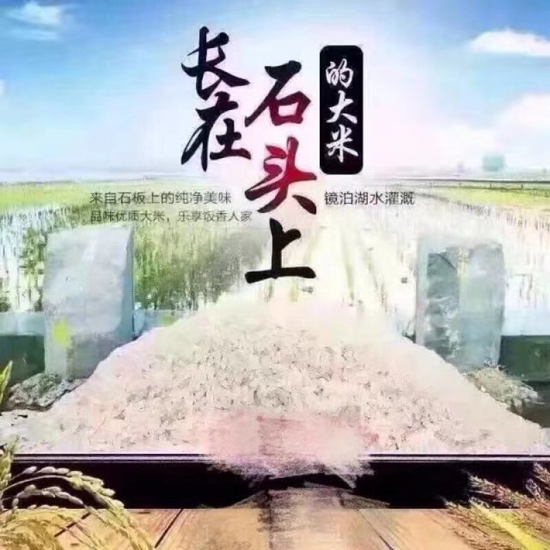 真正的黑龙江响水大米，稻花香