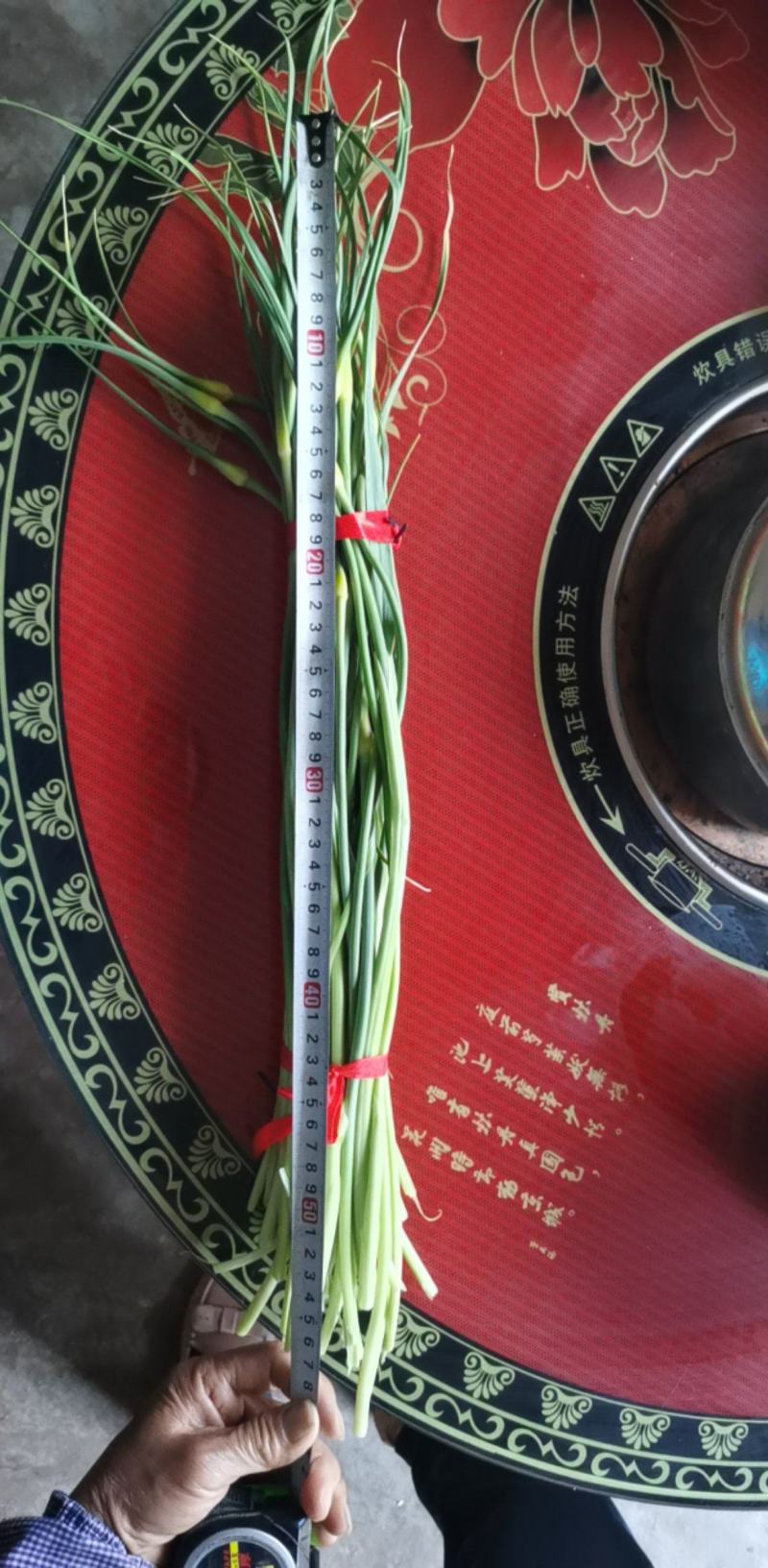 云贵交界新鲜蒜薹上市欢迎各位蔬菜老板上门收购