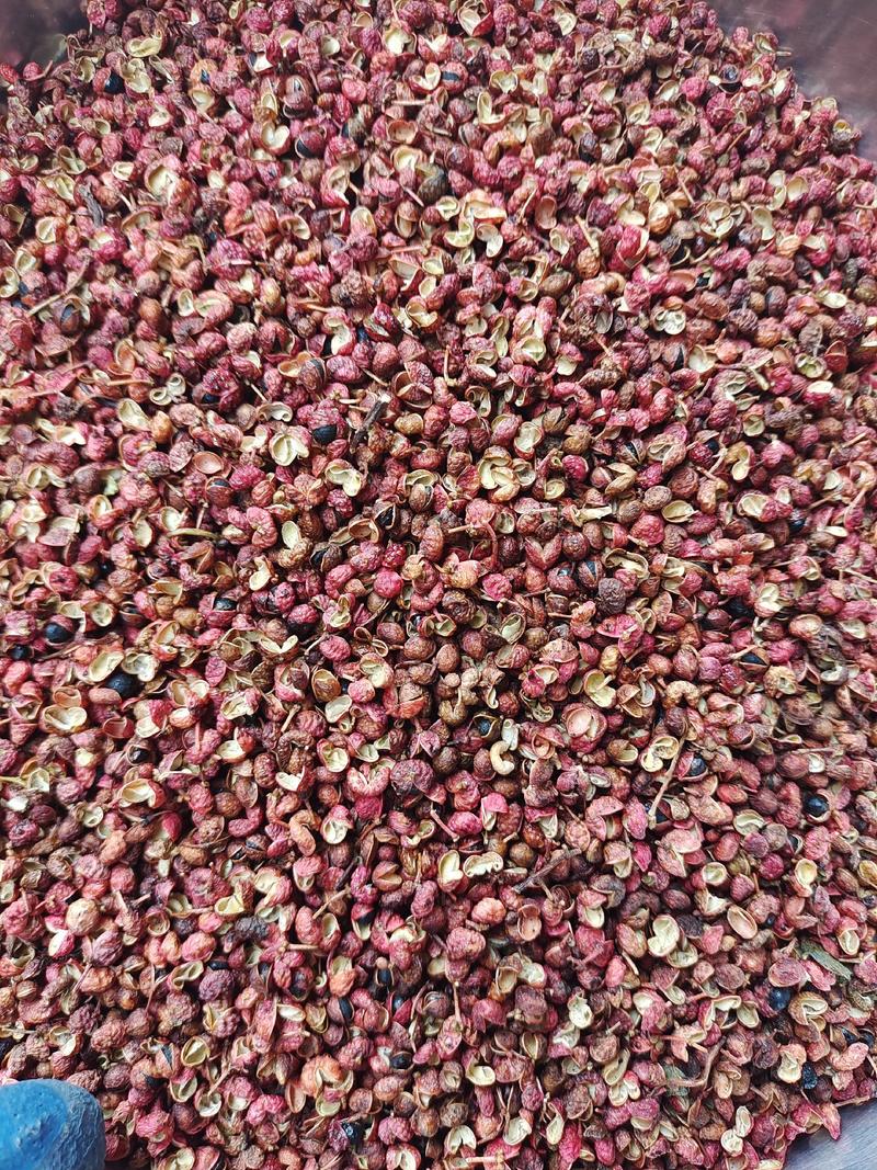 大红袍花椒新货产地直发一手货源常年有货麻香味浓
