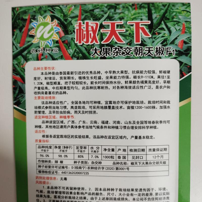 抗寒耐热特大果朝天椒种子农好椒天下朝天椒小米辣椒种子