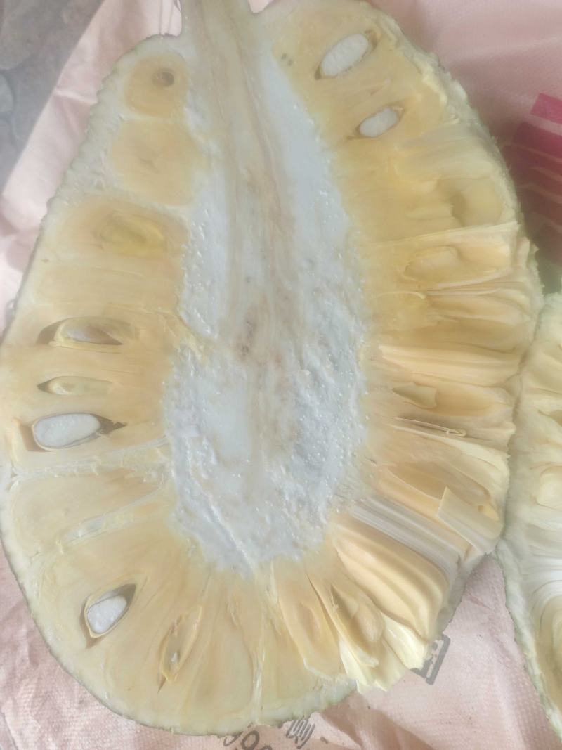 比白菜价优惠，海南产地越南红红肉菠萝蜜泰八验无绣果，