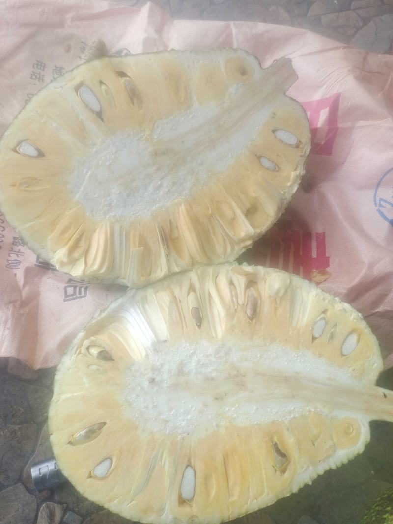 比白菜价优惠，海南产地越南红红肉菠萝蜜泰八验无绣果，