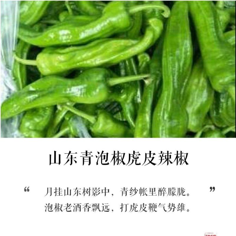薄皮椒，产地直销，货源充足，可联系