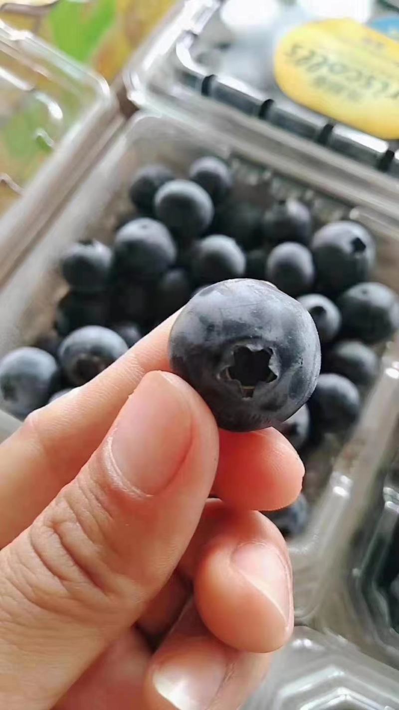 怡颗莓大量有货，现货供应，全国发货，树莓，蓝莓