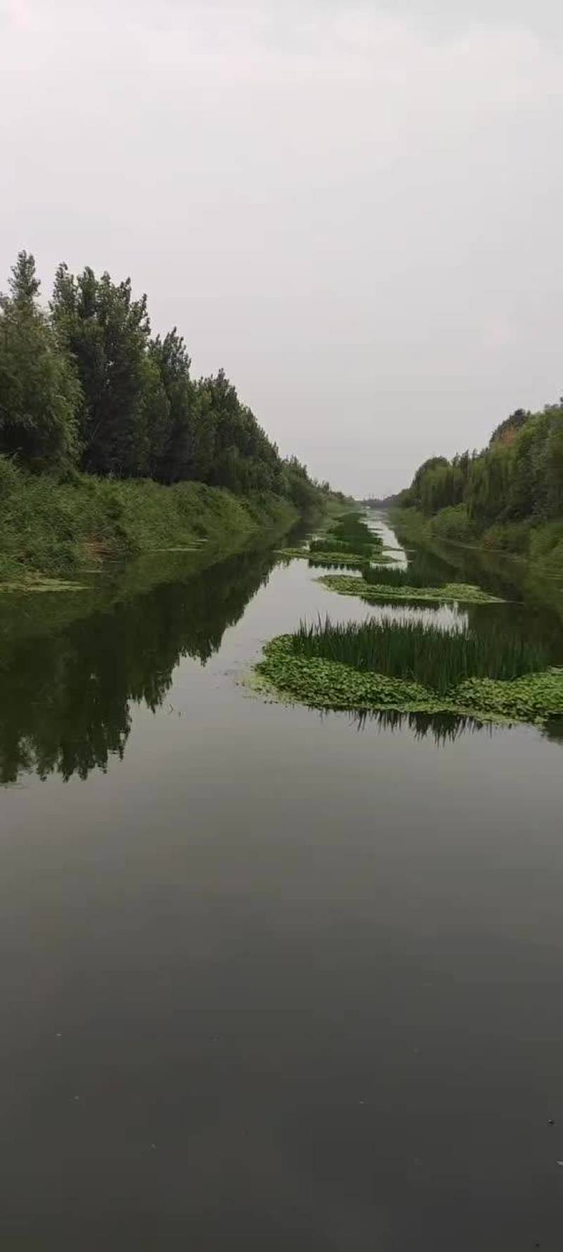 生态浮岛