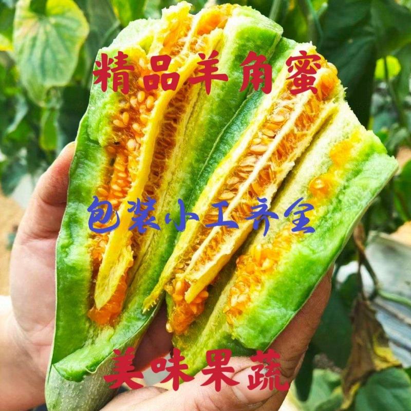 羊角蜜甜瓜山东甜瓜产地直发，对接电商团购商超市场