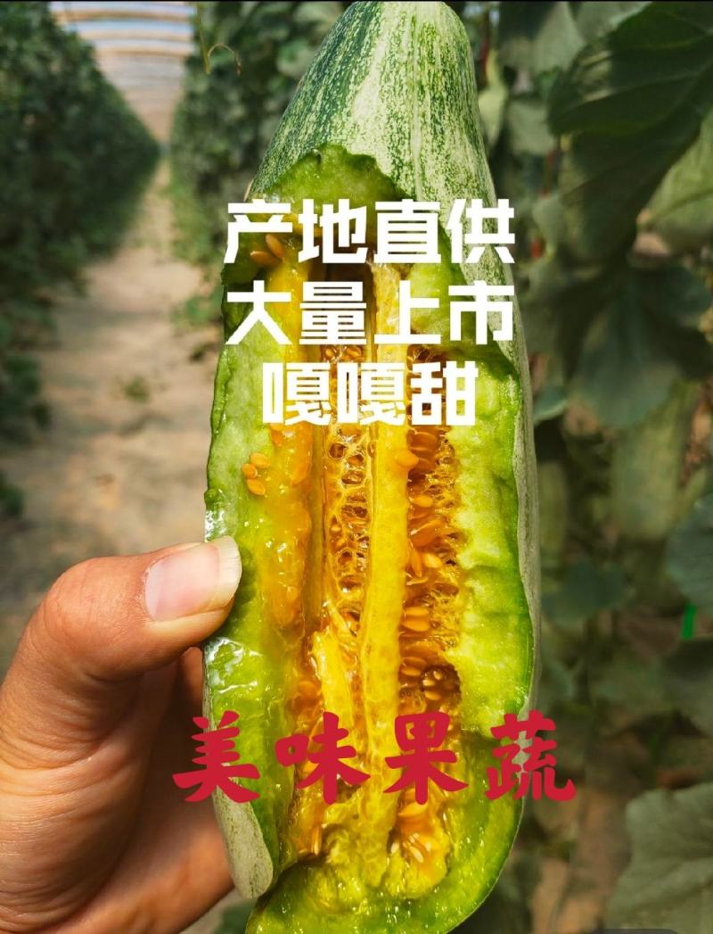 羊角蜜甜瓜山东甜瓜产地直发，对接电商团购商超市场
