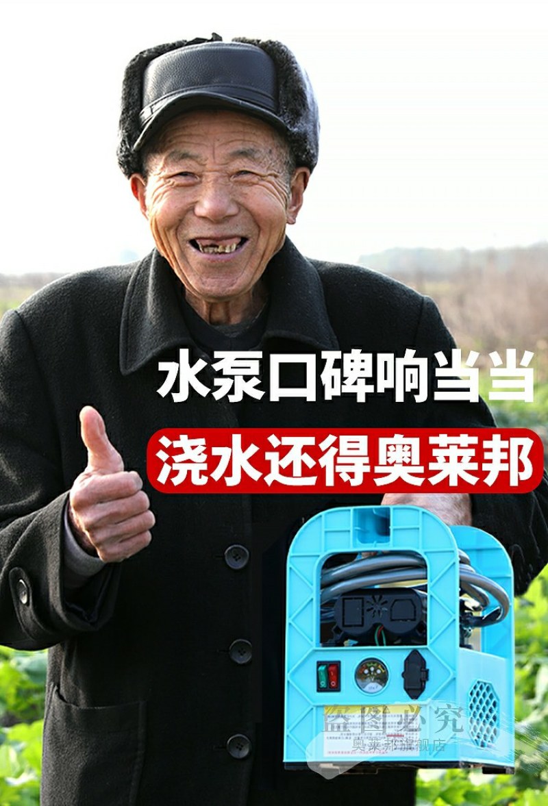 充电水泵便携式家用户外浇菜充电式抽水泵12v小型抽水机打