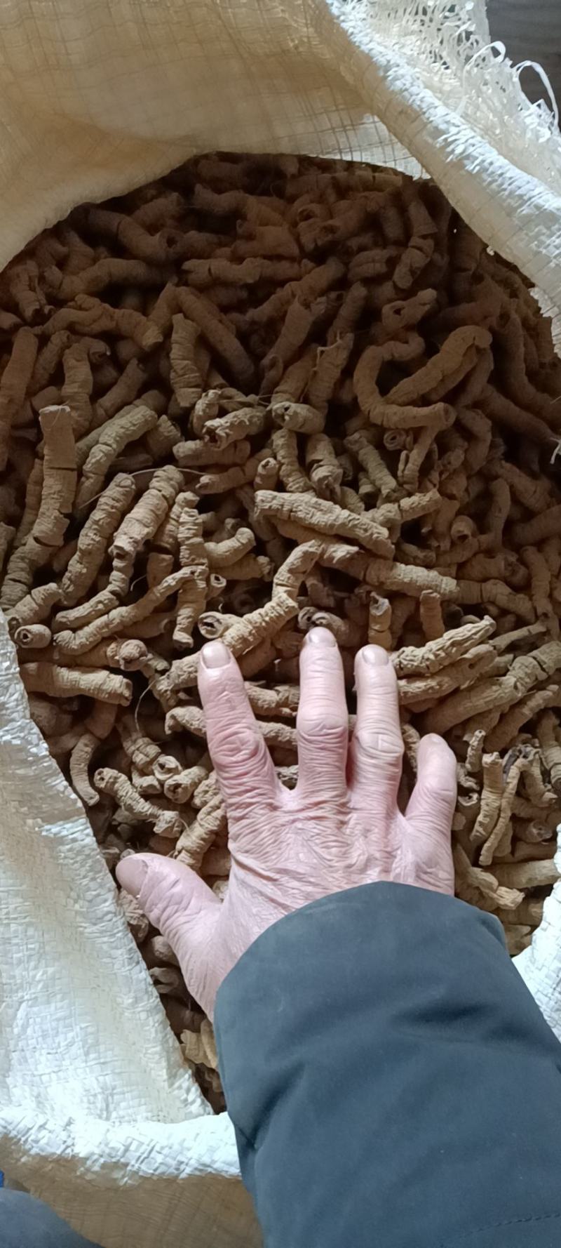 巴戟天(特标)精品中的精品，量少，要的可预定