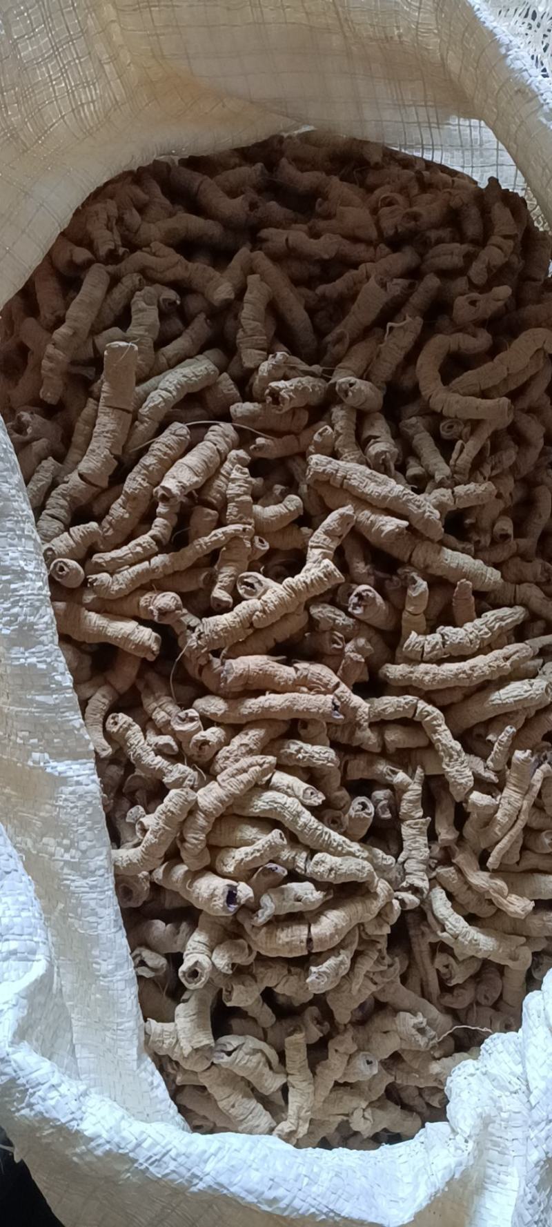 巴戟天(特标)精品中的精品，量少，要的可预定